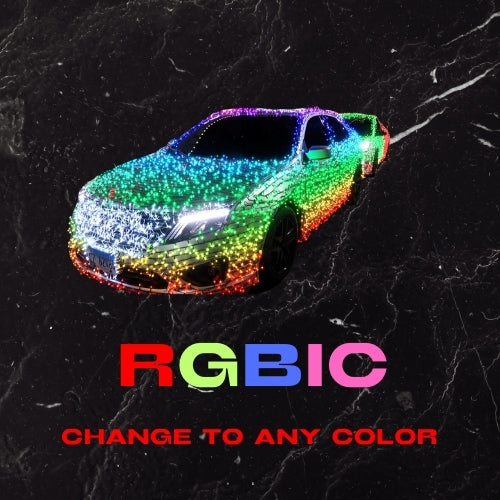 CHRISTMAS CAR LIGHTS