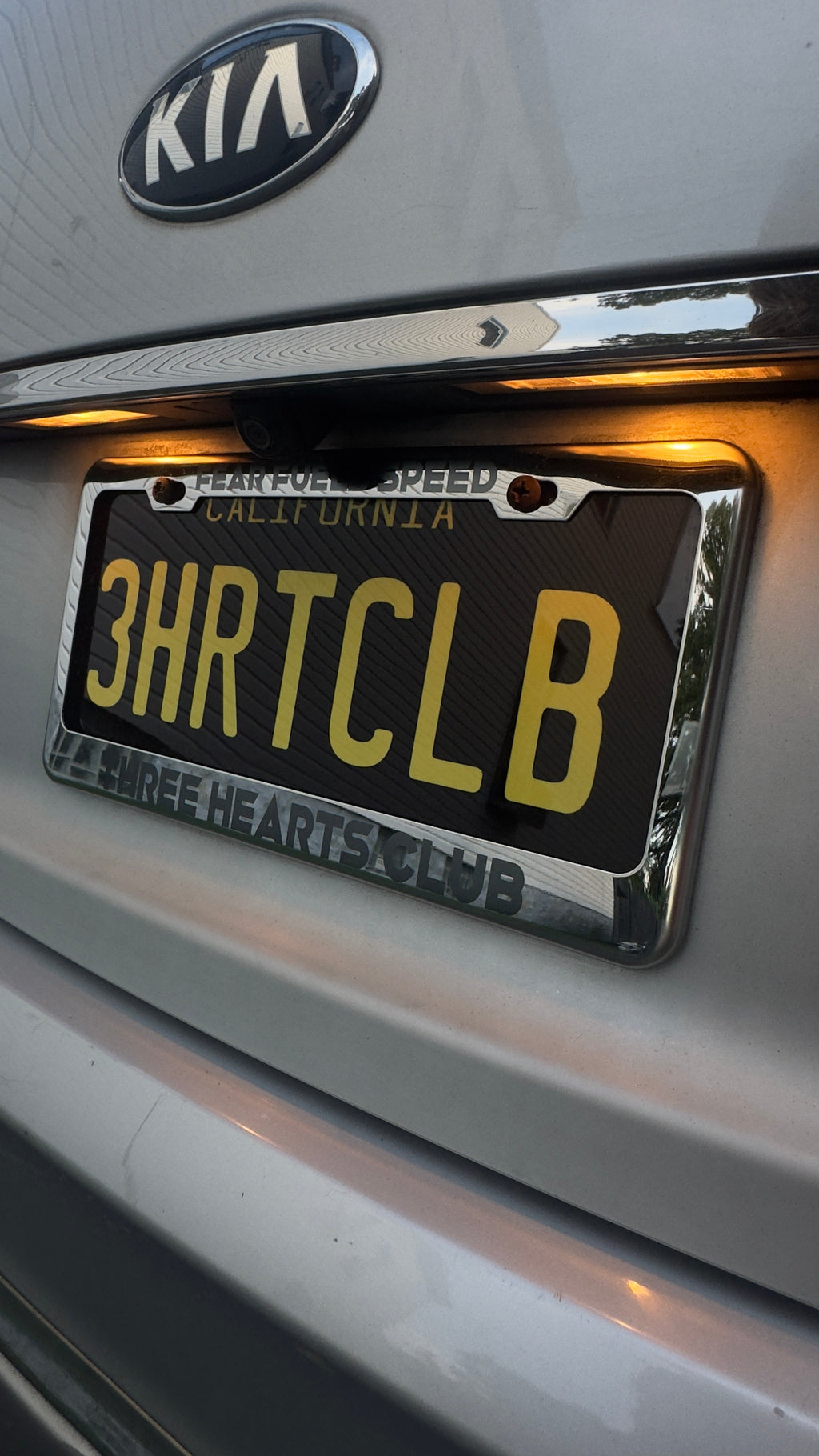 Metal Laser-Engraved License Plate Covers